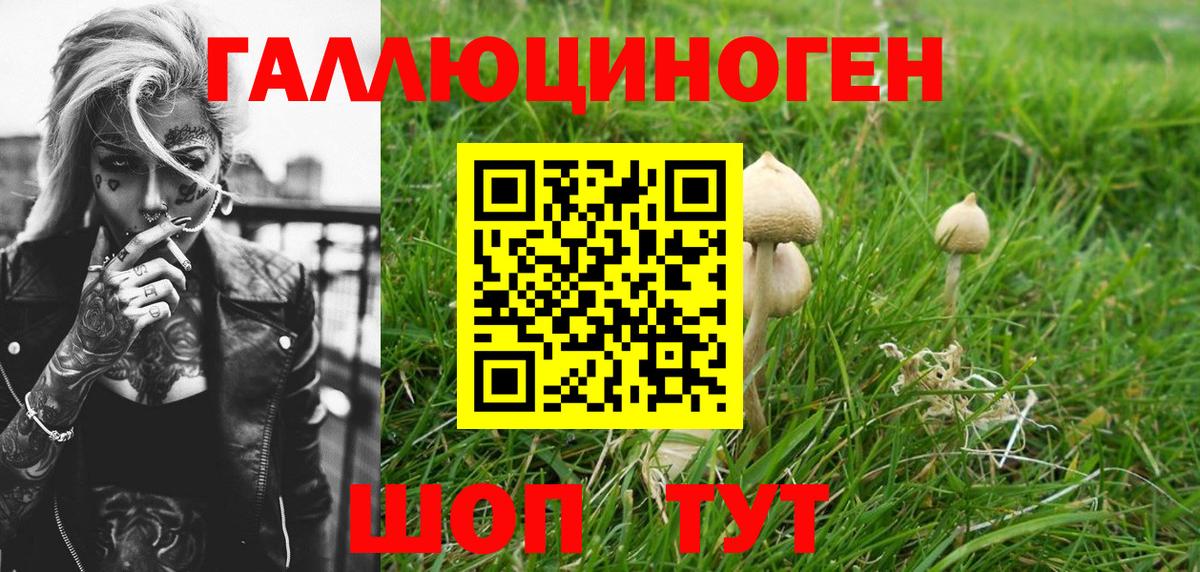 Галлюциногенные грибы Cubensis Ярославль