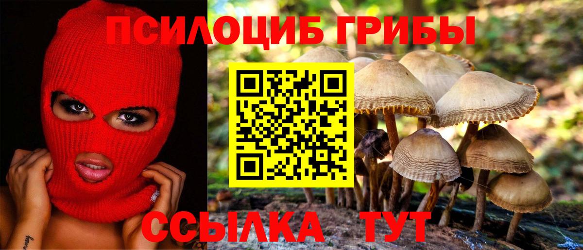 Ярославль  Галлюциногенные грибы ЛСД  Вход с VPN 